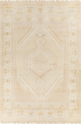 Surya Anadolu AAU-2305 Area Rug main image