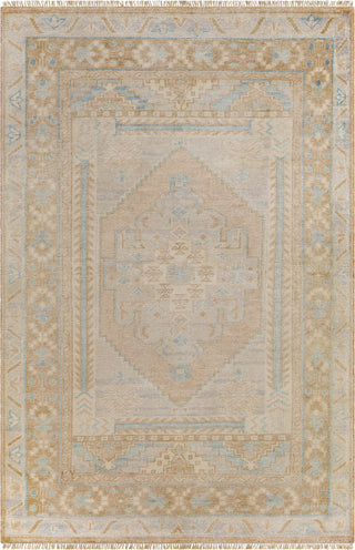 Surya Anadolu AAU-2306 Area Rug main image