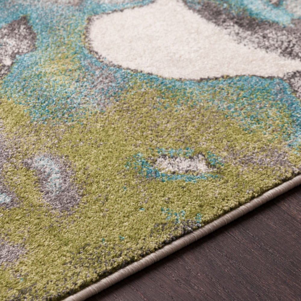 Surya Aberdine ABE8003 Area Rug Incredible Rugs and Decor