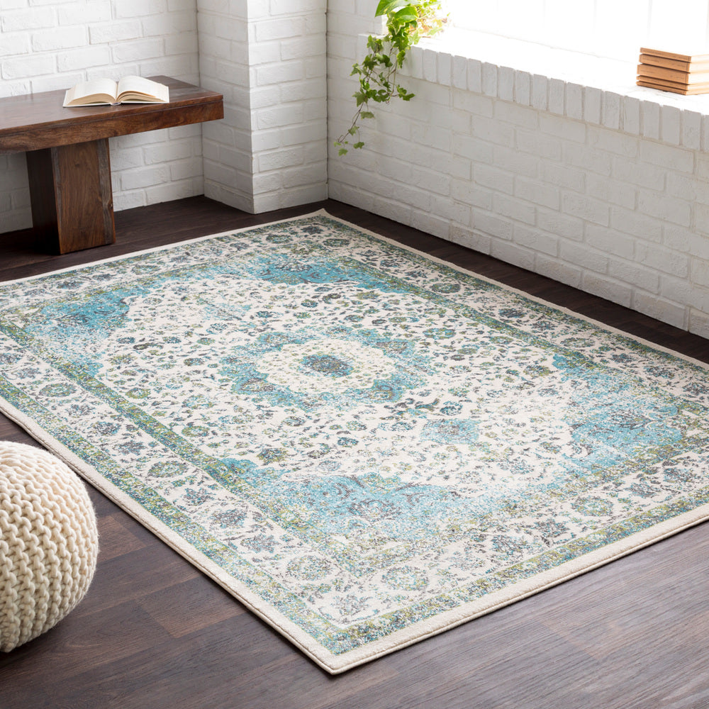 Surya Aberdine ABE-8004 Area Rug Room Scene Feature