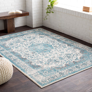 Surya Aberdine ABE-8005 Area Rug Room Scene Feature