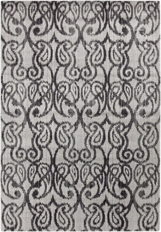 Surya Aberdine ABE-8008 Area Rug main image