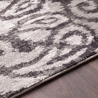 Surya Aberdine ABE-8008 Area Rug Detail