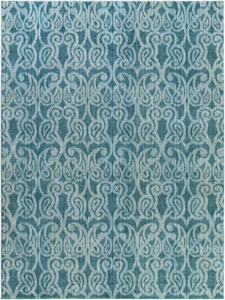 Surya Aberdine ABE-8009 Aqua Machine Woven Area Rug 7'6'' X 10'6''