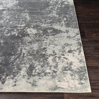 Surya Aberdine ABE-8013 Area Rug