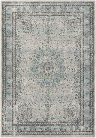 Surya Aberdine ABE-8017 Area Rug main image