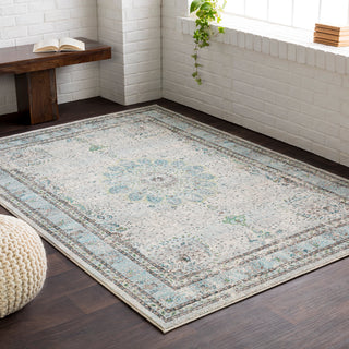 Surya Aberdine ABE-8017 Area Rug Room Image Feature