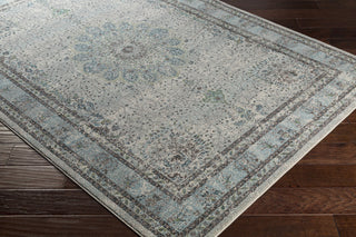 Surya Aberdine ABE-8017 Area Rug Closeup