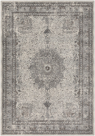 Surya Aberdine ABE-8018 Area Rug main image