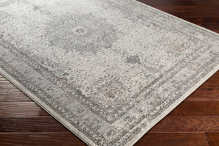 Surya Aberdine ABE-8018 Area Rug Corner Image