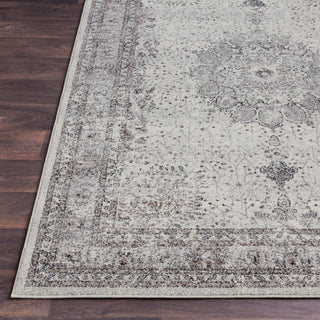 Surya Aberdine ABE-8018 Area Rug Detail Image