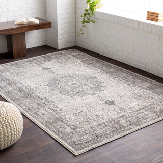 Surya Aberdine ABE-8018 Area Rug Room Image Feature