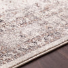 Surya Aberdine ABE-8018 Area Rug Texture Image