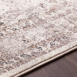 Surya Aberdine ABE-8018 Area Rug Texture Image