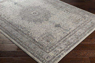 Surya Aberdine ABE-8018 Area Rug Closeup