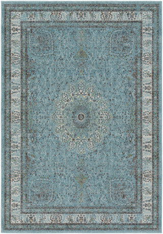 Surya Aberdine ABE-8019 Area Rug 5' 2'' X 7' 6''