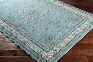 Surya Aberdine ABE-8019 Area Rug Corner Image