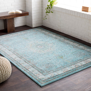 Surya Aberdine ABE-8019 Area Rug Room Image Feature