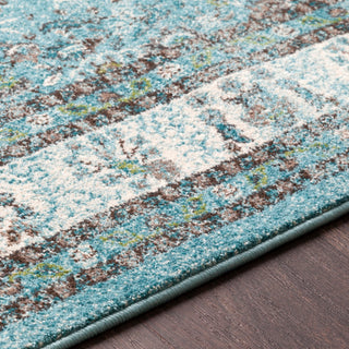 Surya Aberdine ABE-8019 Area Rug Texture Image