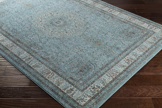 Surya Aberdine ABE-8019 Area Rug Closeup