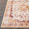 Surya Aberdine ABE-8023 Area Rug Detail Image