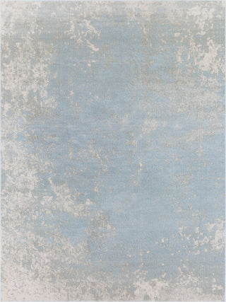 Surya Aberdine ABE-8028 Pale Blue Light Gray Cream Area Rug Main Image 8 X 10