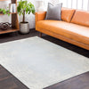 Surya Aberdine ABE-8028 Area Rug Room Image Feature