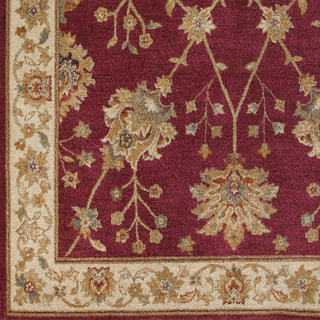 Surya Arabesque ABS-3006 Cherry Machine Loomed Area Rug Sample Swatch