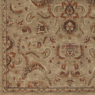 Surya Arabesque ABS-3009 Olive Machine Loomed Area Rug Sample Swatch