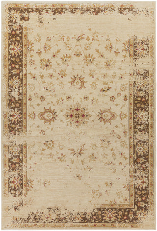 Surya Arabesque ABS-3033 Area Rug 8'10'' X 12'9''