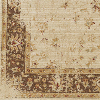 Surya Arabesque ABS-3033 Beige Machine Loomed Area Rug Sample Swatch