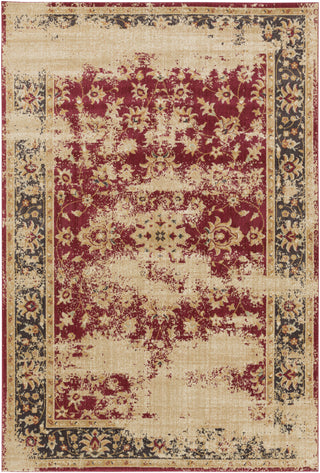 Surya Arabesque ABS-3034 Area Rug 5'3'' x 7'3''