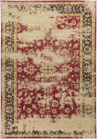 Surya Arabesque ABS-3034 Area Rug 8'10'' X 12'9''