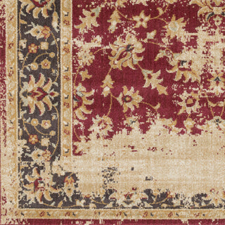 Surya Arabesque ABS-3034 Garnet Machine Loomed Area Rug Sample Swatch