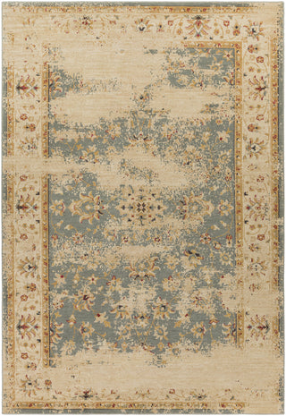 Surya Arabesque ABS-3035 Area Rug 8'10'' X 12'9''