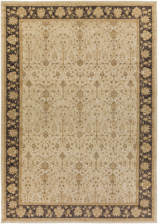 Surya Arabesque ABS-3038 Area Rug 8'10'' X 12'9''