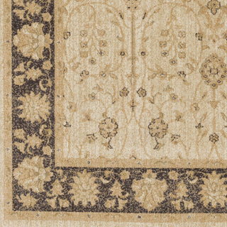 Surya Arabesque ABS-3038 Beige Machine Loomed Area Rug Sample Swatch