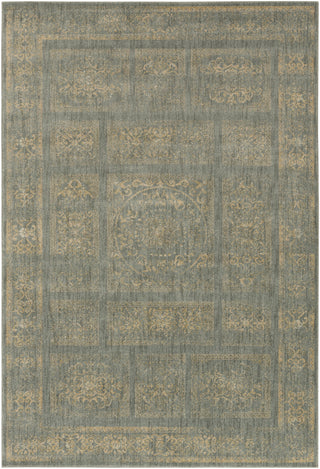 Surya Arabesque ABS-3044 Area Rug 5'3'' x 7'3''