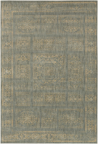 Surya Arabesque ABS-3044 Charcoal Area Rug 5'3'' X 7'3''