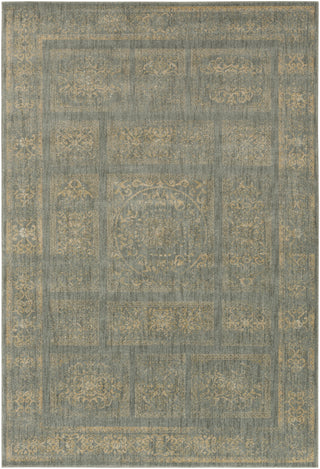 Surya Arabesque ABS-3044 Area Rug