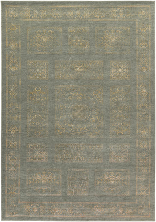 Surya Arabesque ABS-3044 Area Rug 8'10'' X 12'9''