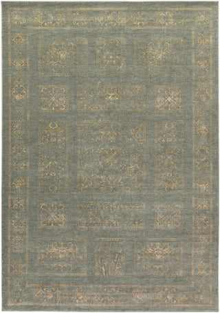 Surya Arabesque ABS-3044 Area Rug