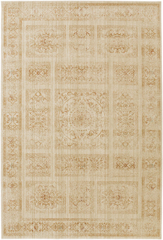 Surya Arabesque ABS-3046 Beige Area Rug 5'3'' X 7'3''