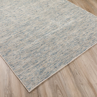 Dalyn Arcata AC1 Denim Area Rug