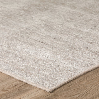 Dalyn Arcata AC1 Marble Area Rug