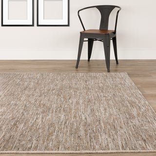 Dalyn Arcata AC1 Mocha Area Rug