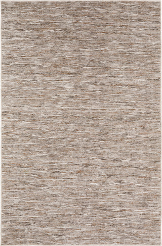 Dalyn Arcata AC1 Mocha Area Rug