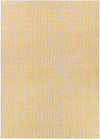 Surya Archive ACH-1707 Gold Area Rug by Smithsonian 9' x 13'