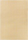 Surya Archive ACH-1707 Area Rug by Smithsonian
