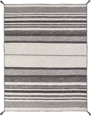 Kalaty Andes AD-622 Canyon Graphite Area Rug main image